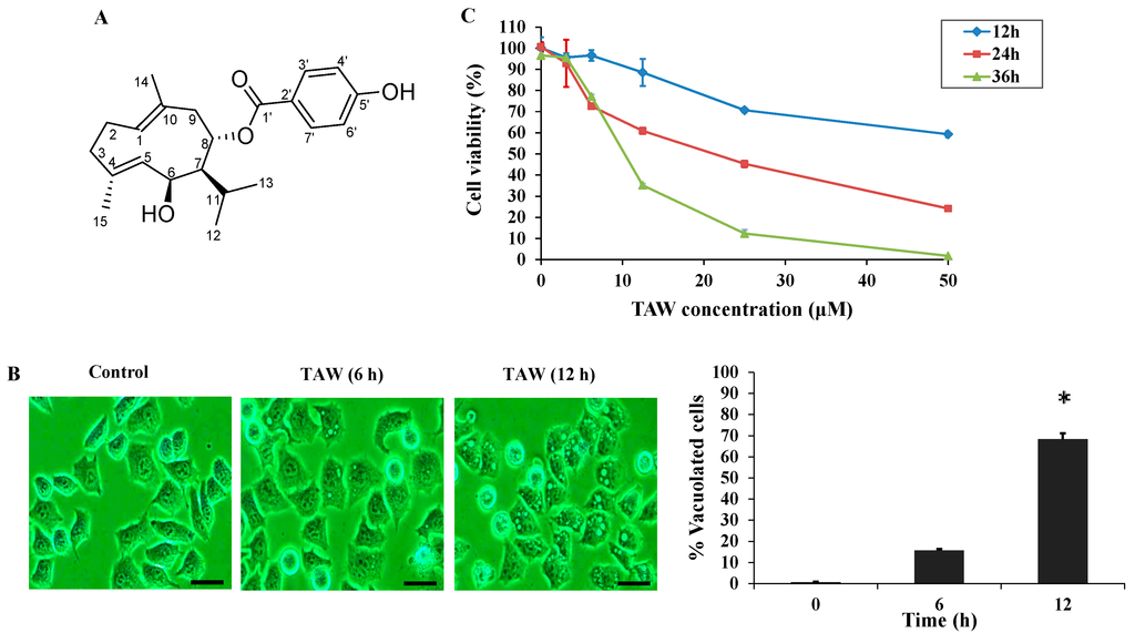 Ijms 16 14979 g001 1024