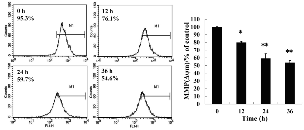 Ijms 16 14979 g003 1024