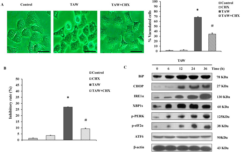 Ijms 16 14979 g004 1024