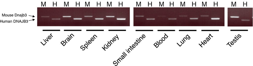 Ijms 16 14997 g003 1024