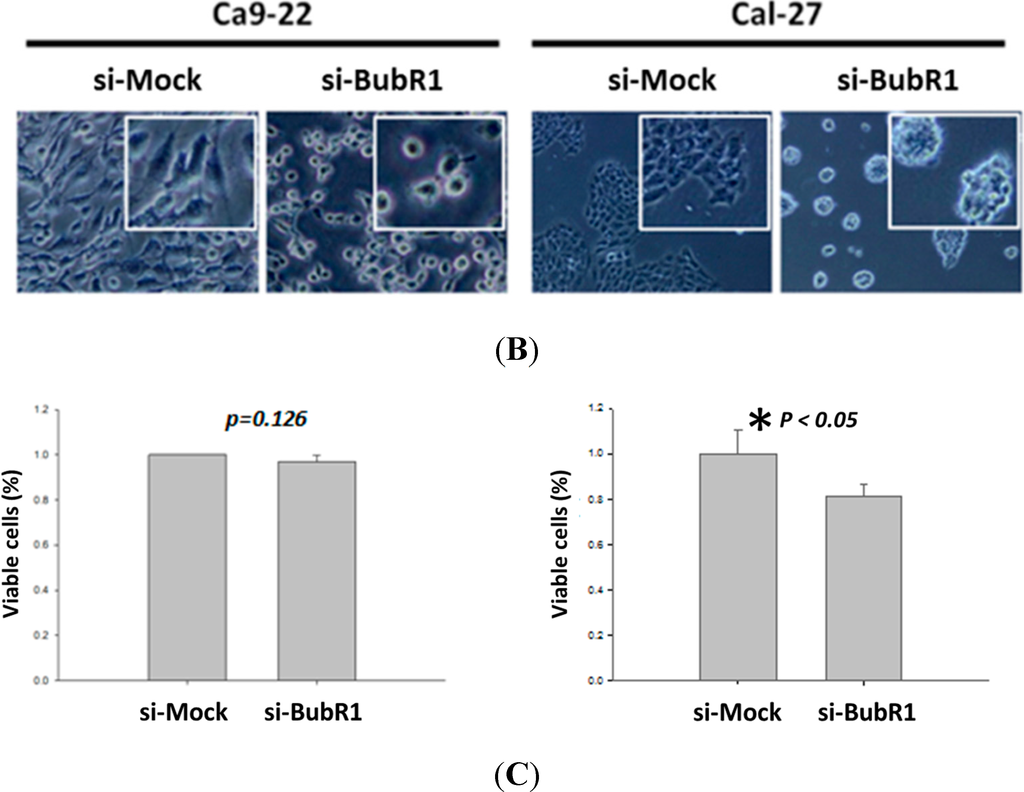 Ijms 16 15104 g003b 1024