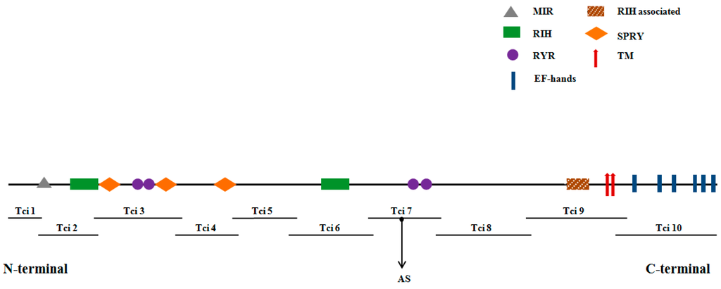 Ijms 16 15220 g001 1024