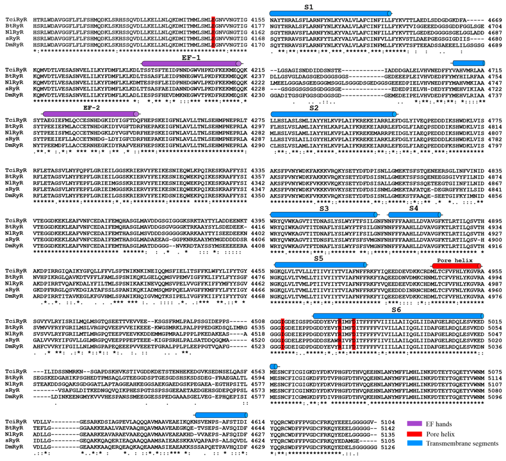 Ijms 16 15220 g003 1024