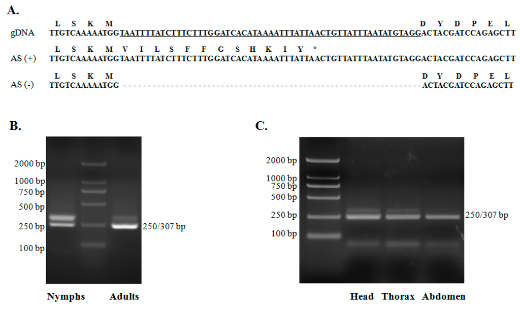 Ijms 16 15220 g005 1024