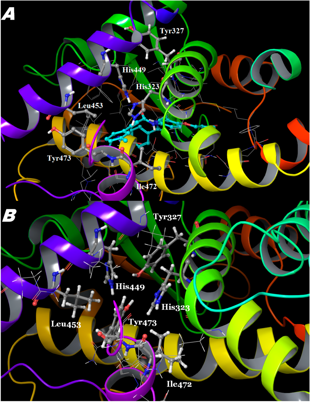 Ijms 16 15405 g005 1024
