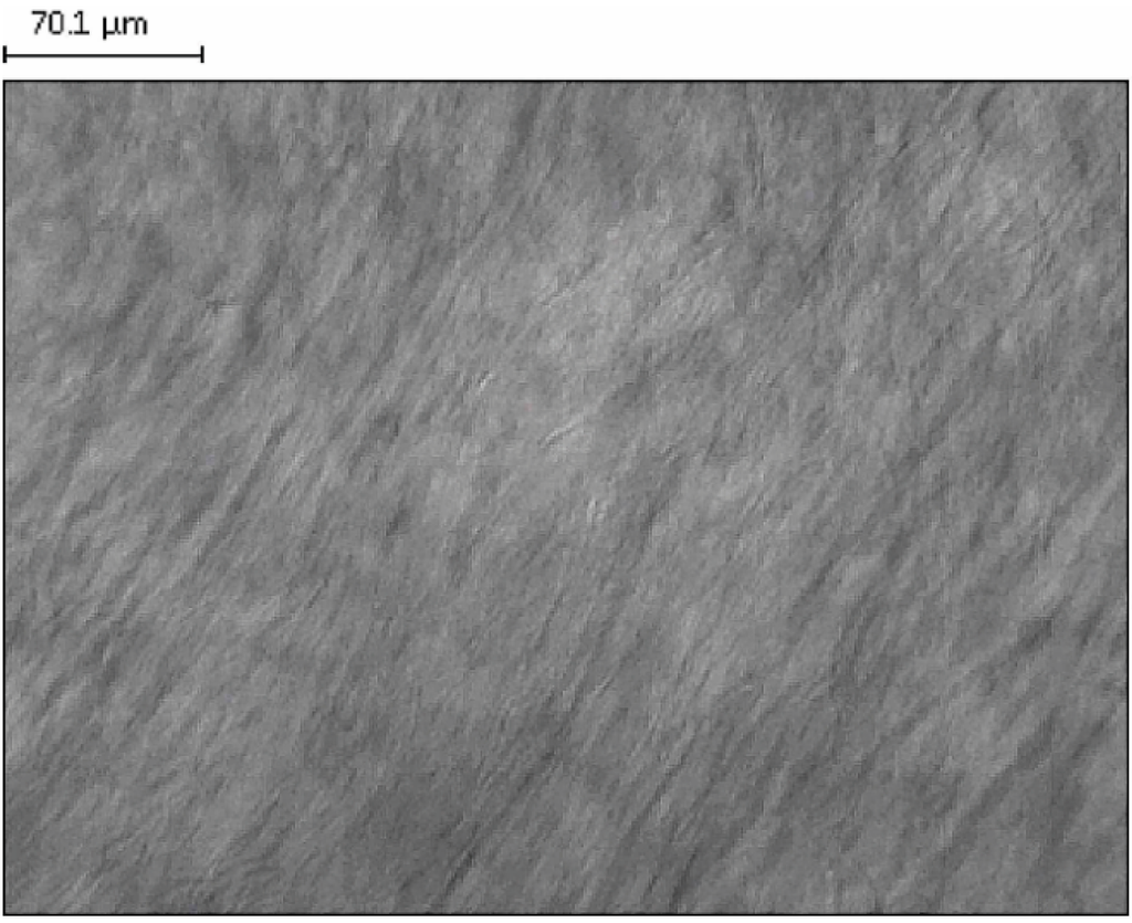 Ijms 16 15425 g001 1024