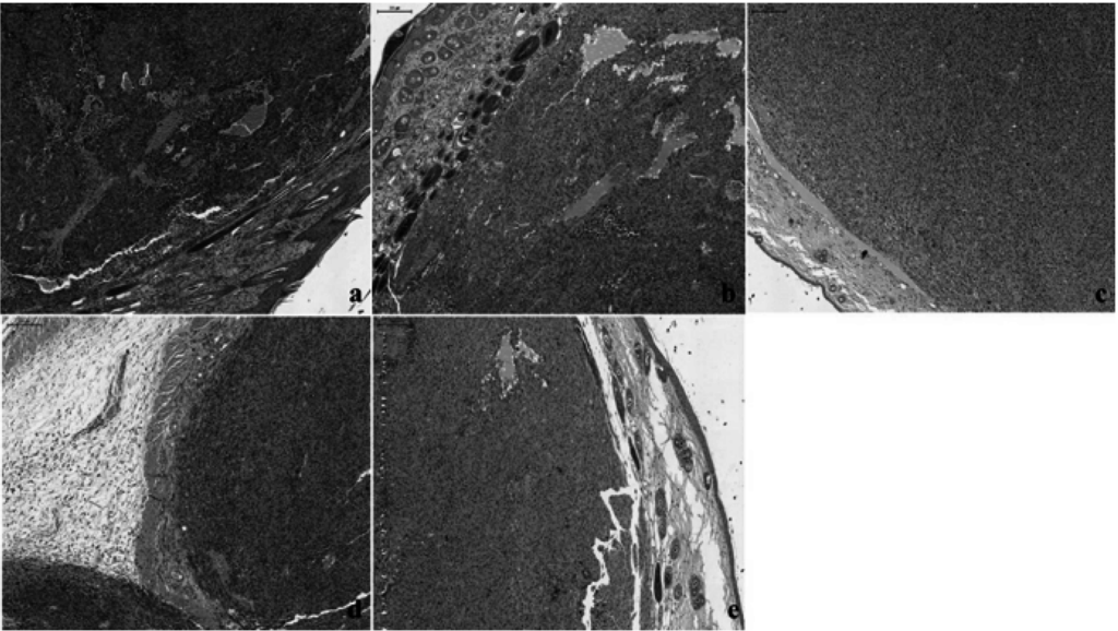 Ijms 16 15425 g008 1024