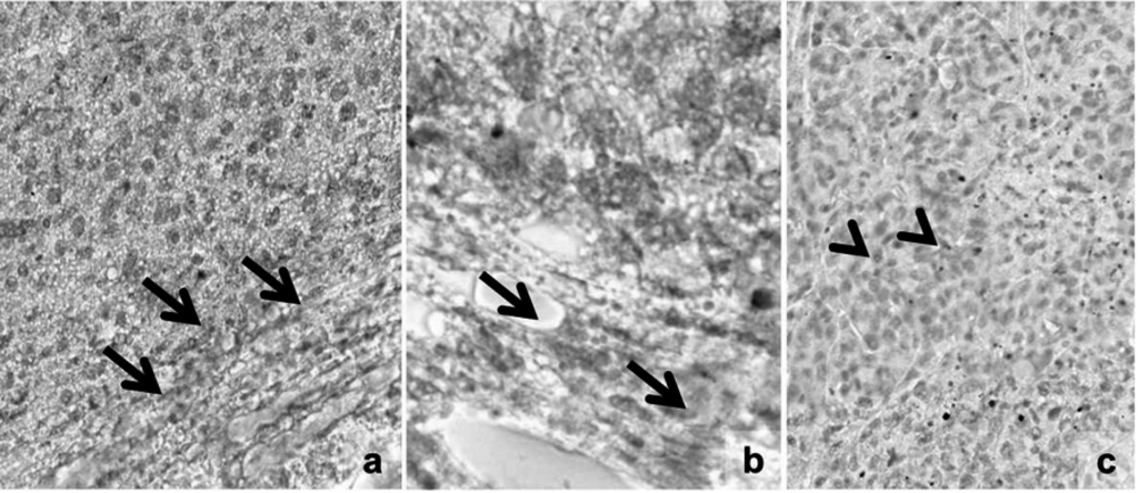 Ijms 16 15425 g009 1024