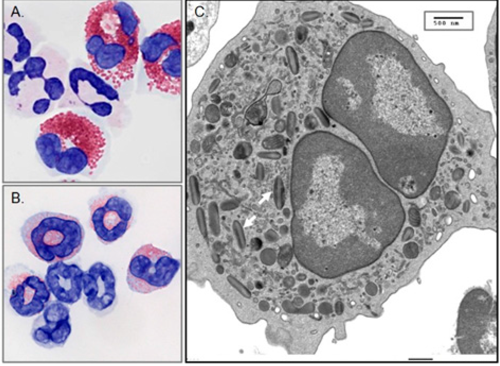 Ijms 16 15442 g001 1024