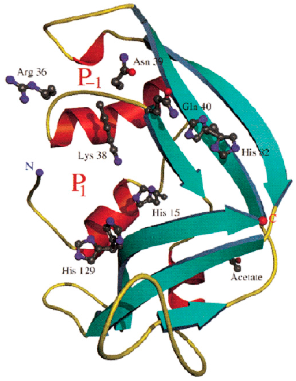 Ijms 16 15442 g002 1024
