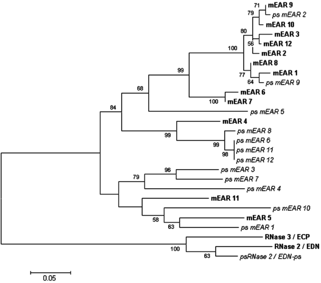 Ijms 16 15442 g003 1024