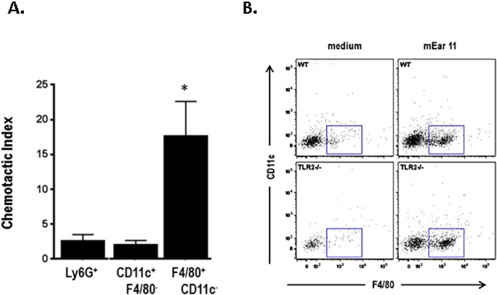 Ijms 16 15442 g006 1024