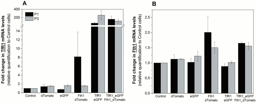Ijms 16 15481 g003 1024