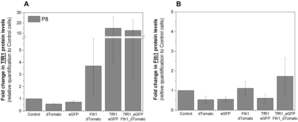 Ijms 16 15481 g004 1024