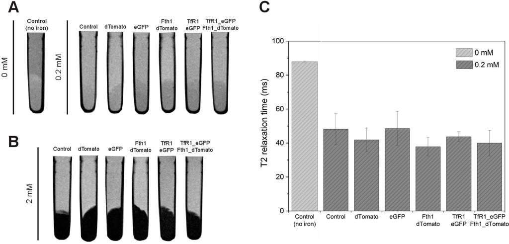 Ijms 16 15481 g006 1024