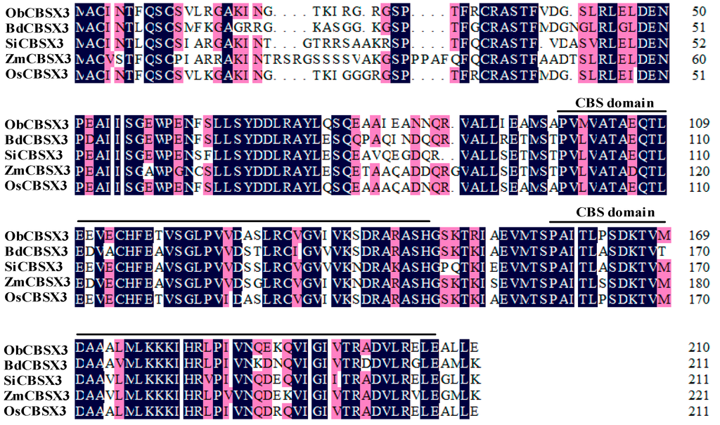 Ijms 16 15903 g001 1024