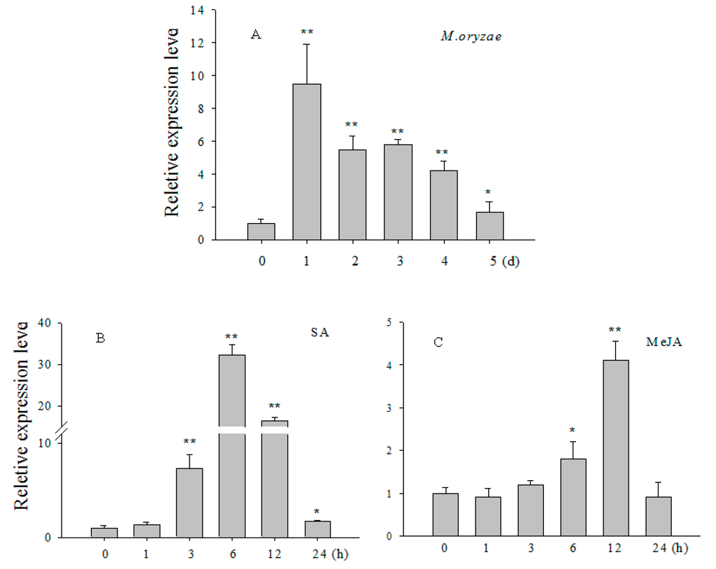 Ijms 16 15903 g002a 1024