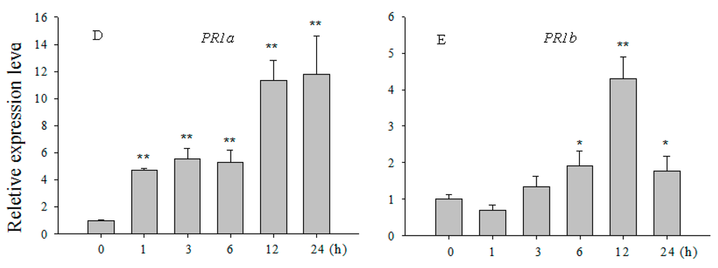 Ijms 16 15903 g002b 1024