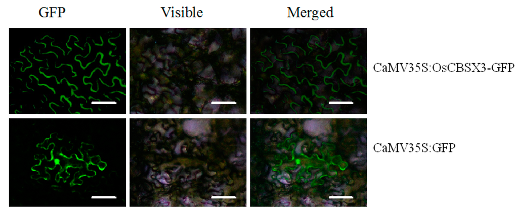 Ijms 16 15903 g003 1024