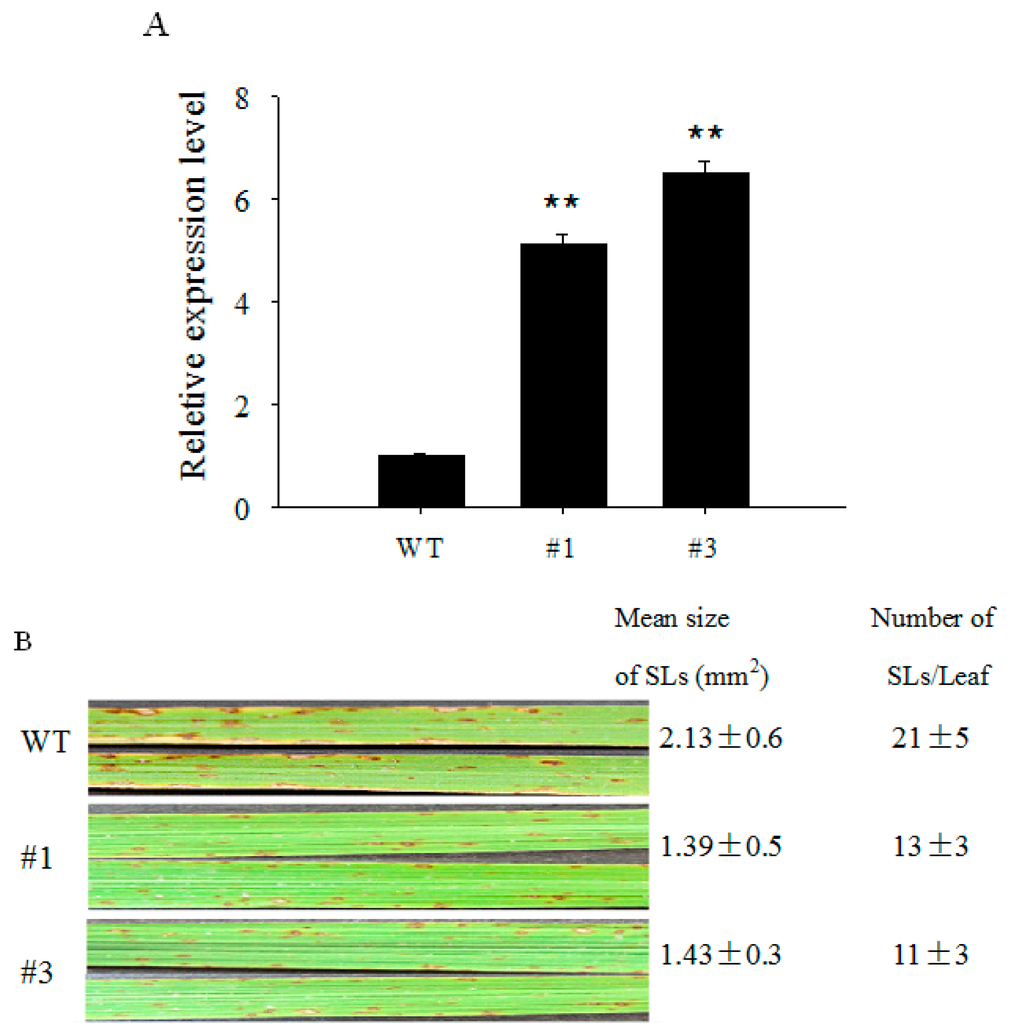 Ijms 16 15903 g004a 1024