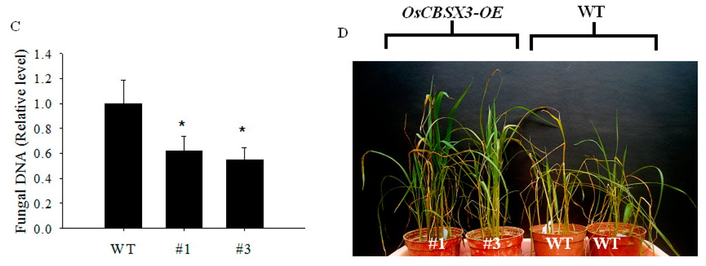 Ijms 16 15903 g004b 1024