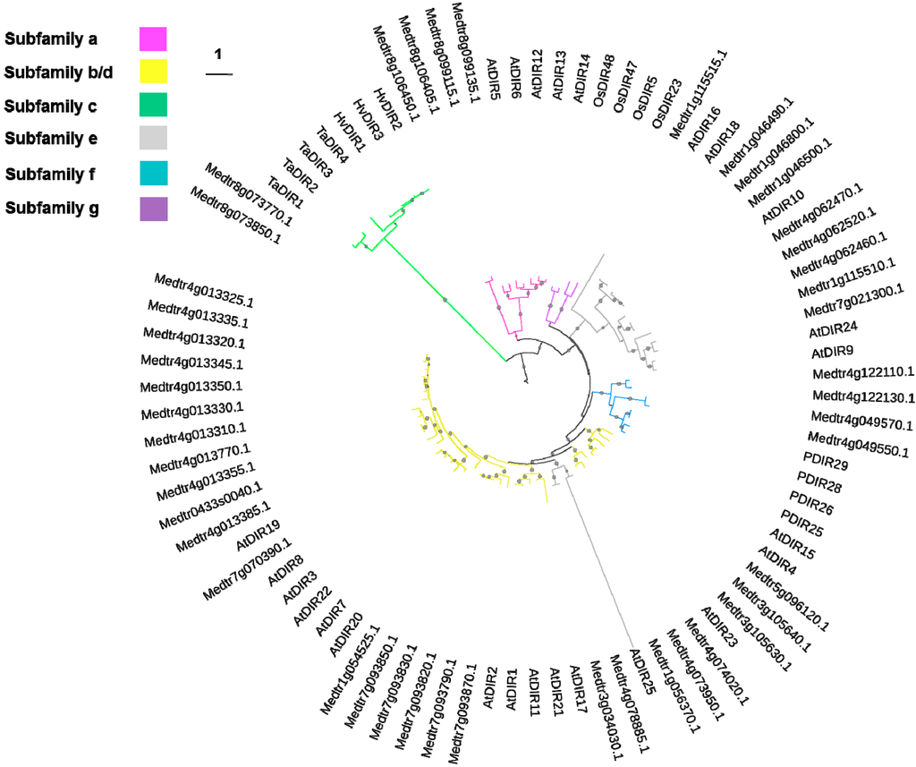 Ijms 16 16104 g001 1024