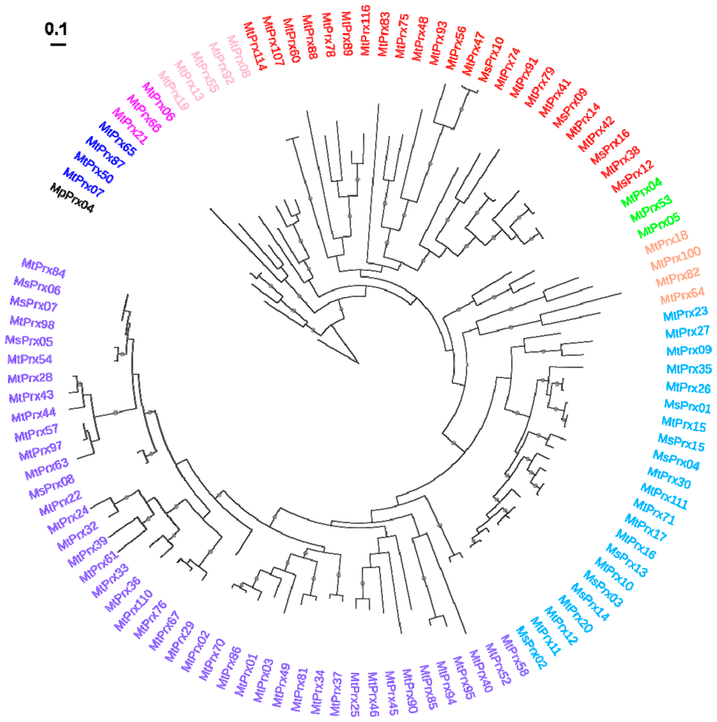 Ijms 16 16104 g003 1024