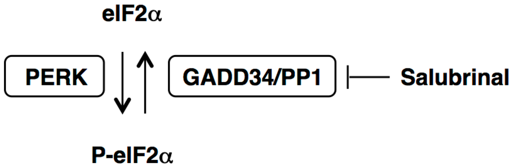 Ijms 16 16275 g001 1024