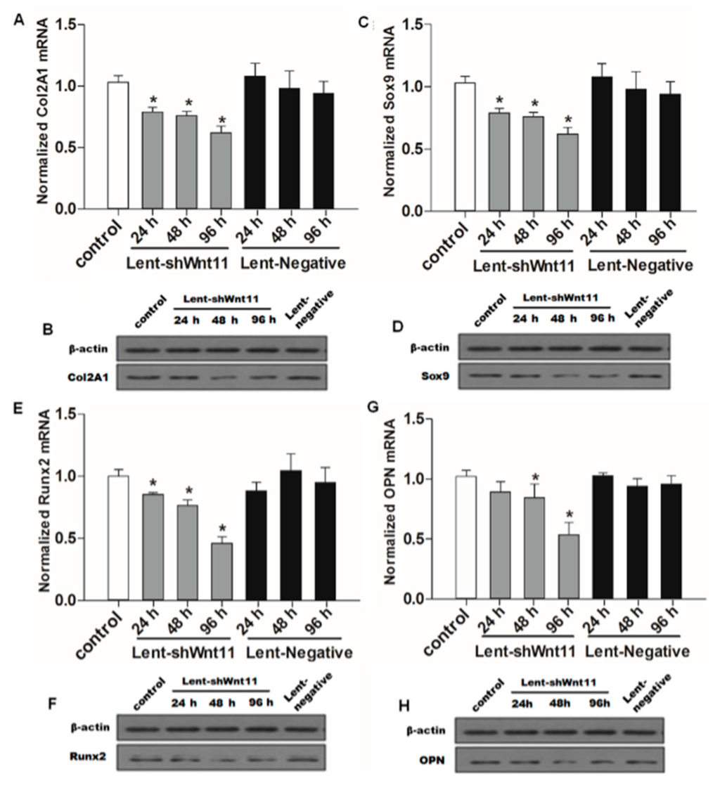 Ijms 16 16313 g004 1024