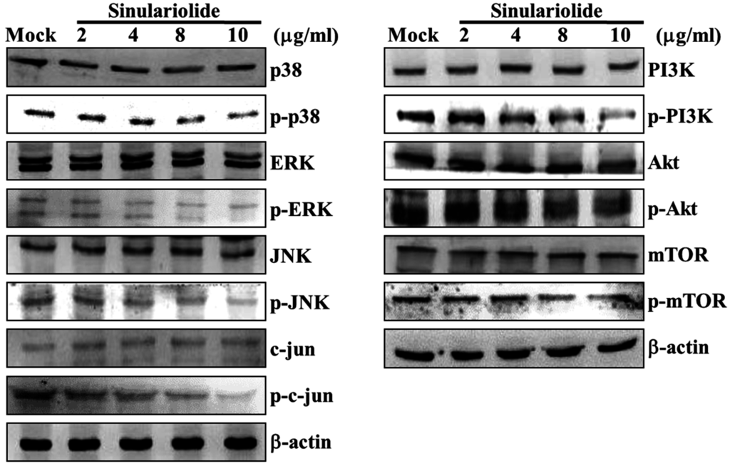 Ijms 16 16469 g004 1024