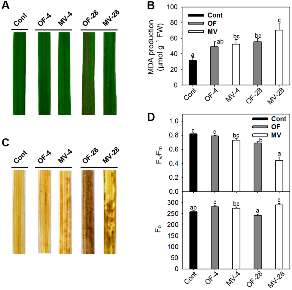 Ijms 16 16529 g002 1024