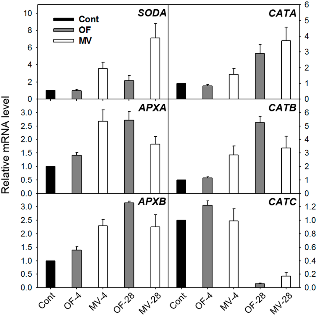 Ijms 16 16529 g004 1024