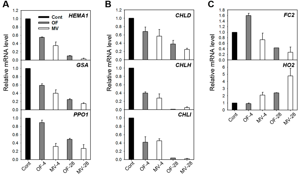 Ijms 16 16529 g006 1024
