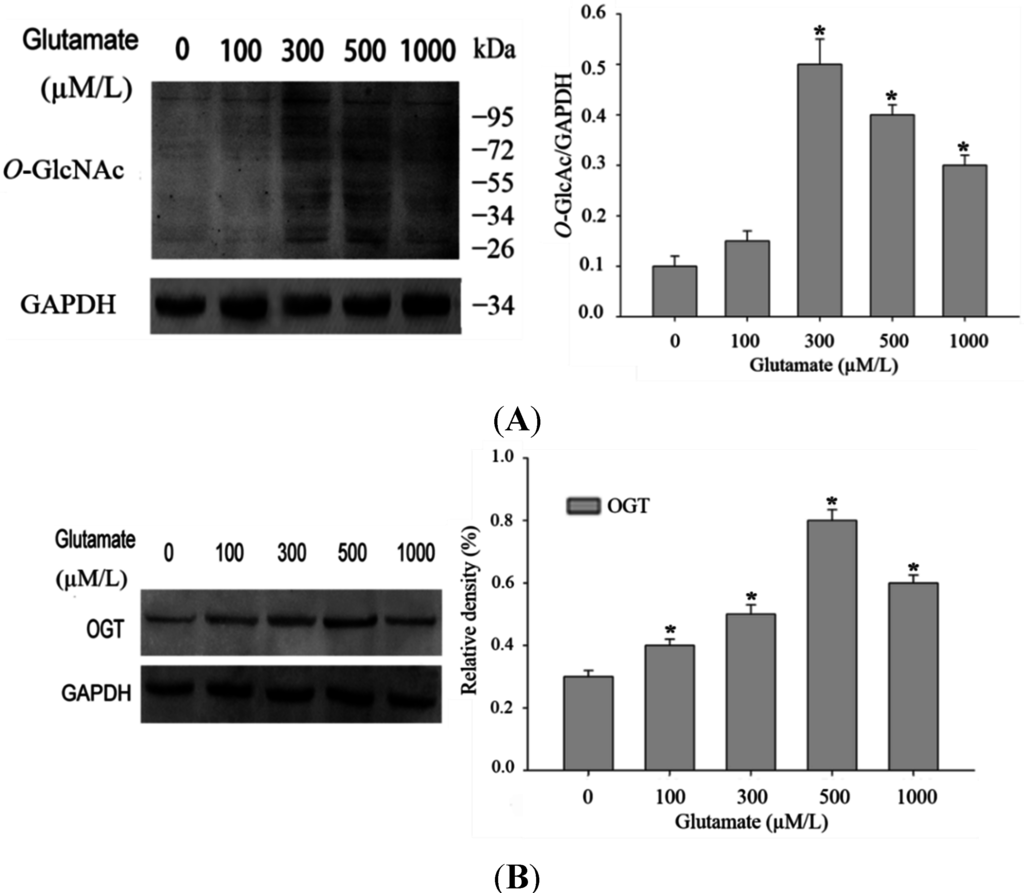 Ijms 16 16560 g001 1024