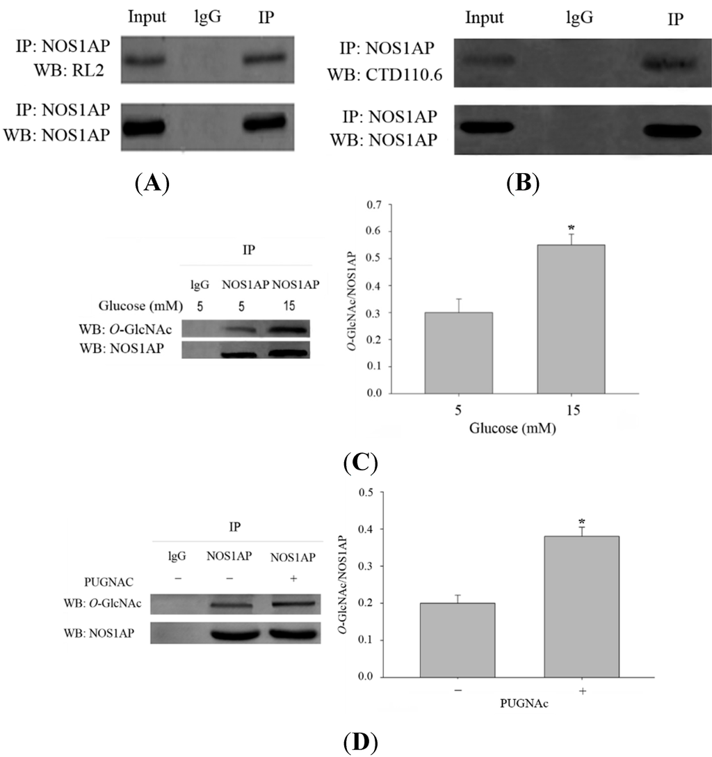 Ijms 16 16560 g002 1024