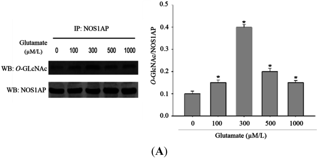 Ijms 16 16560 g004a 1024