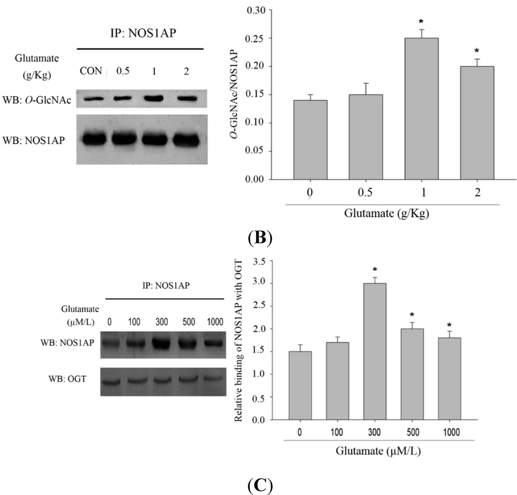 Ijms 16 16560 g004b 1024