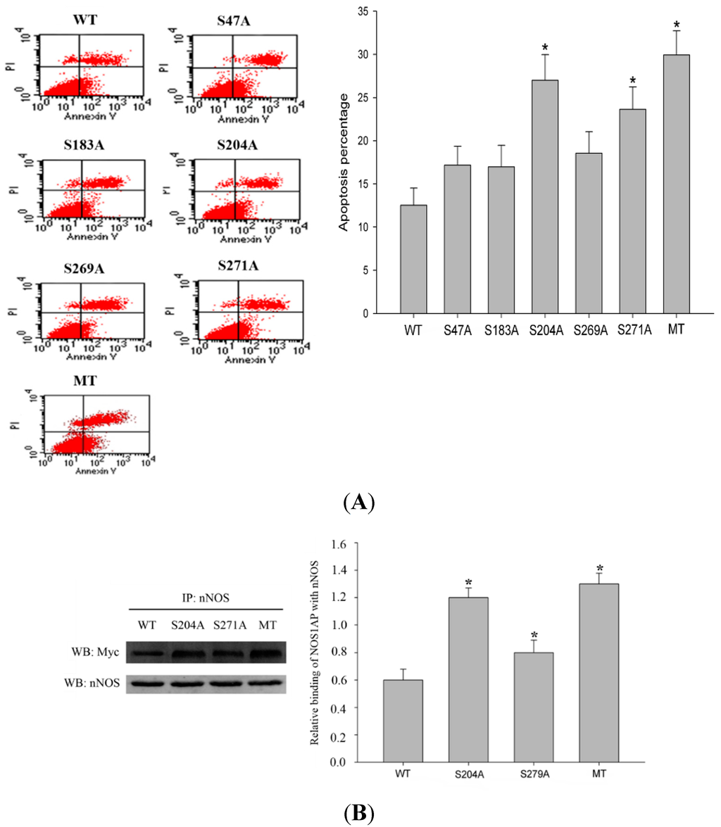 Ijms 16 16560 g005 1024