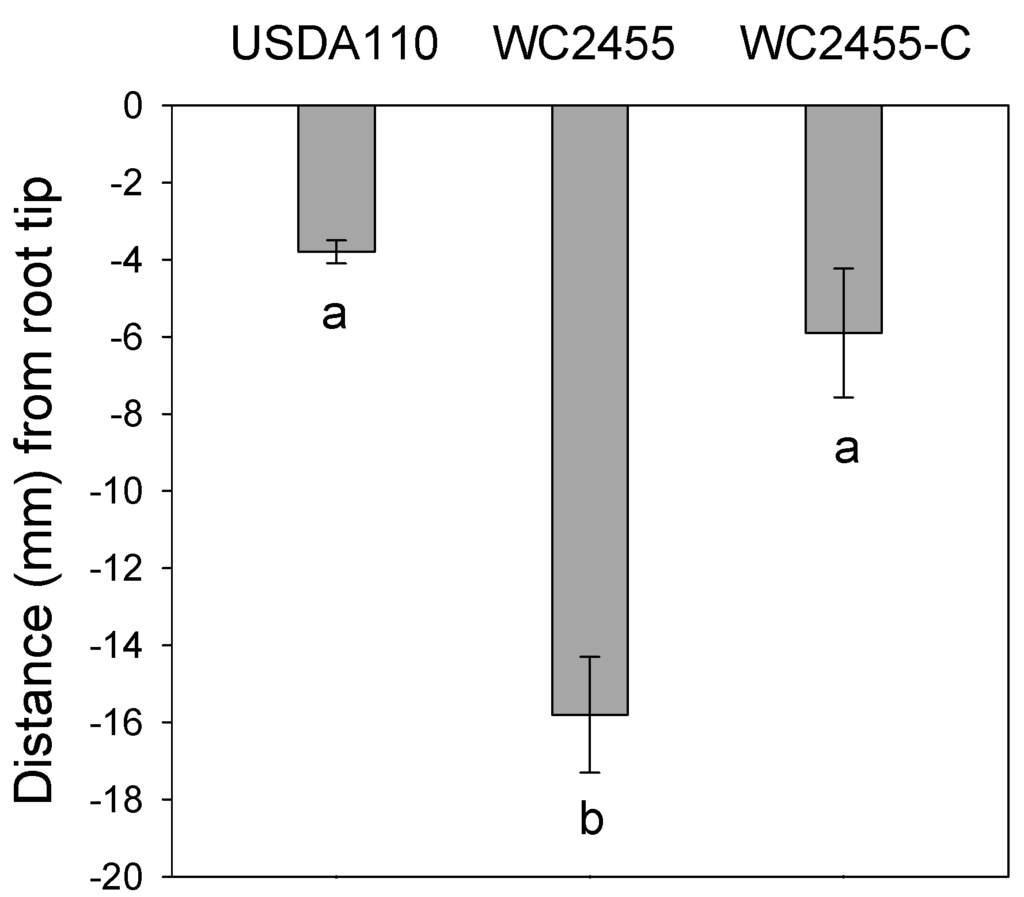Ijms 16 16695 g004 1024