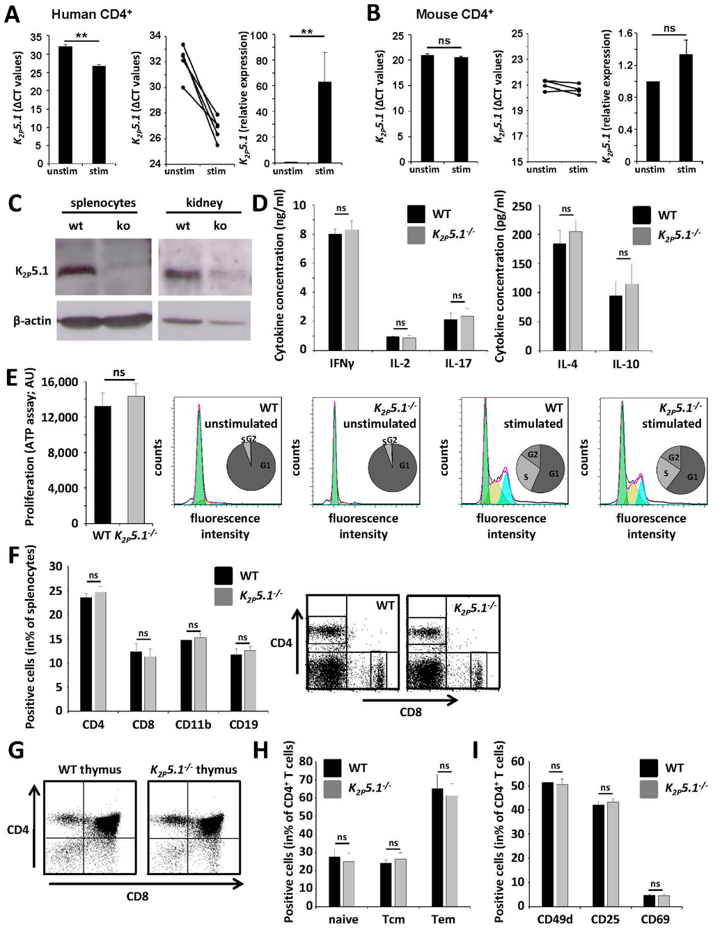 Ijms 16 16880 g002 1024