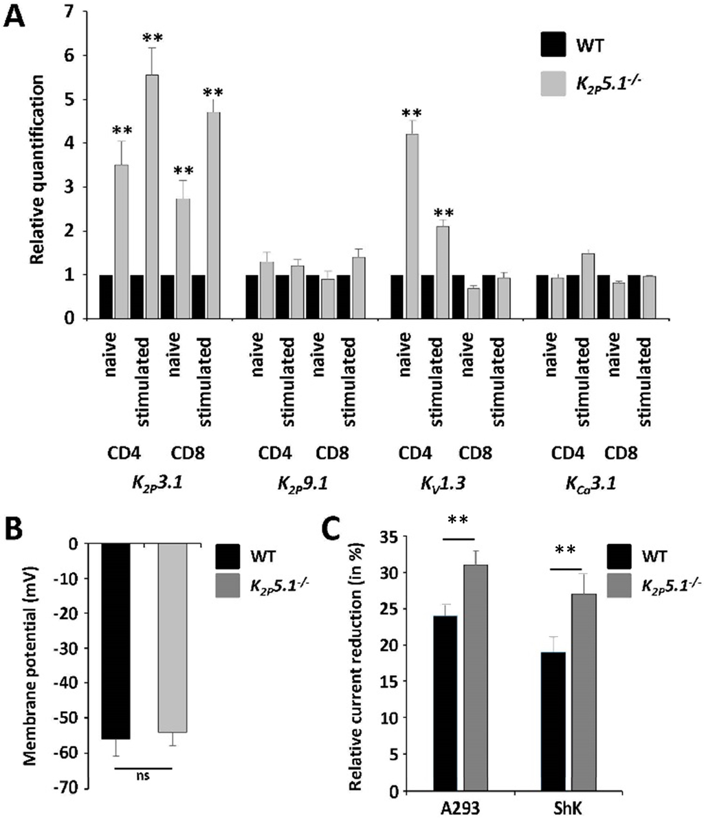 Ijms 16 16880 g003a 1024