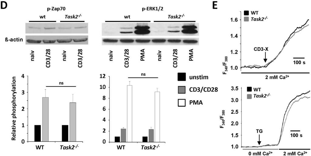 Ijms 16 16880 g003b 1024