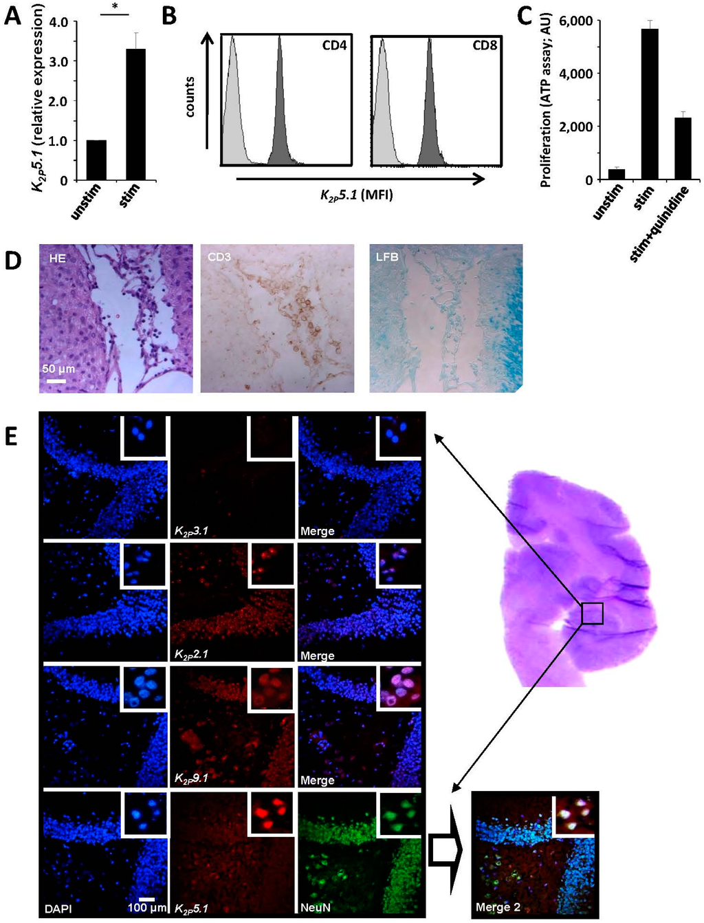 Ijms 16 16880 g004 1024