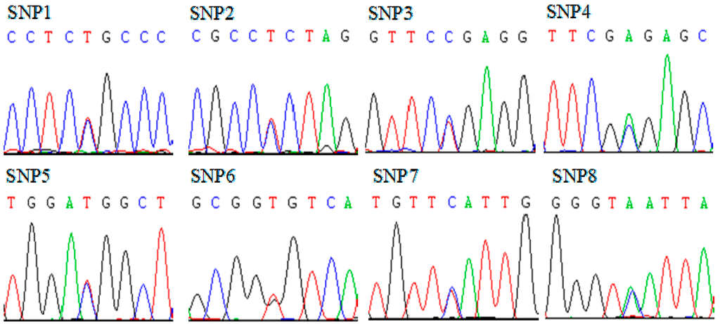 Ijms 16 16966 g003 1024