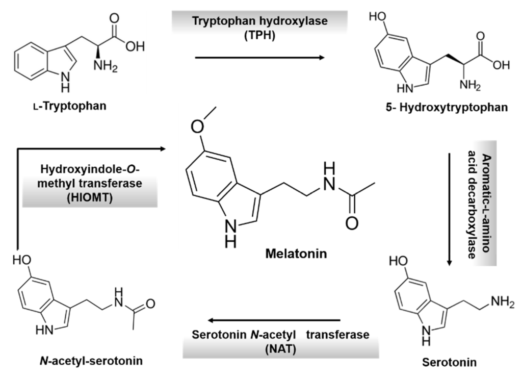Ijms 16 16981 g001 1024