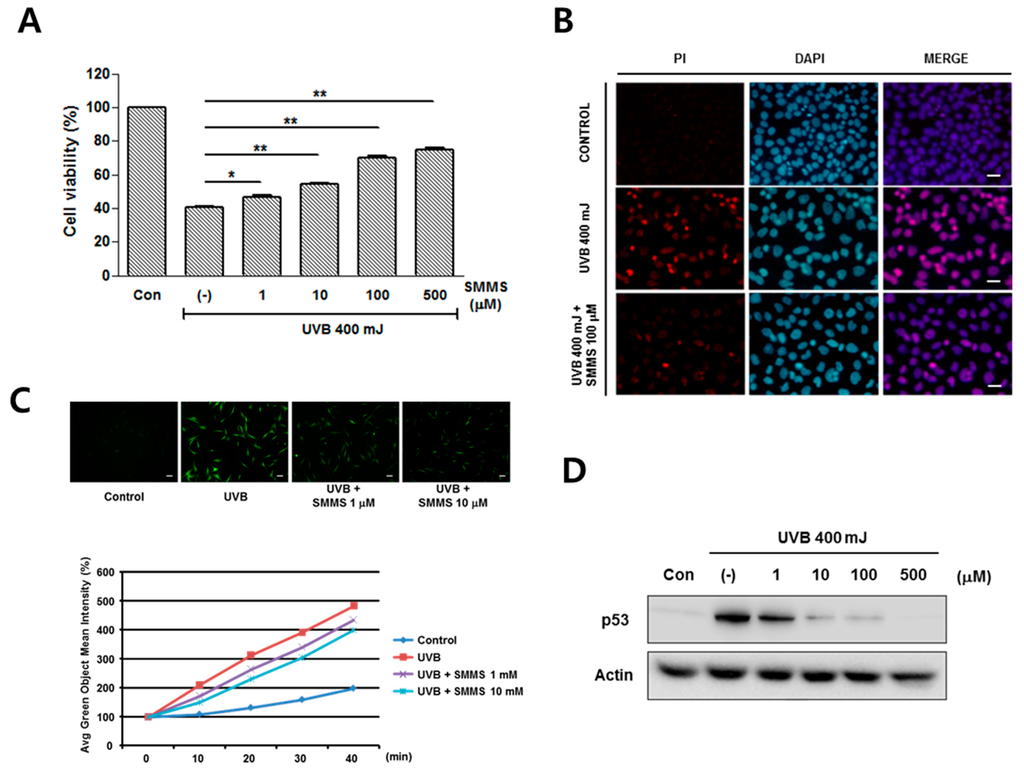 Ijms 16 17088 g001a 1024