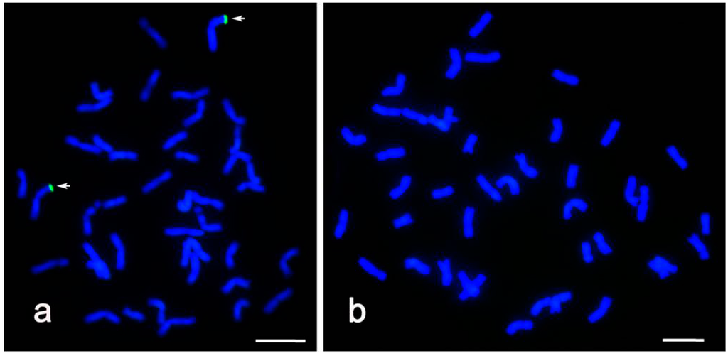 Ijms 16 17231 g002 1024