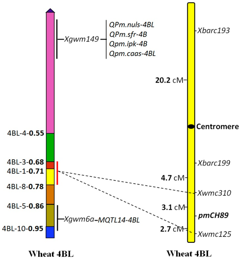 Ijms 16 17231 g004 1024