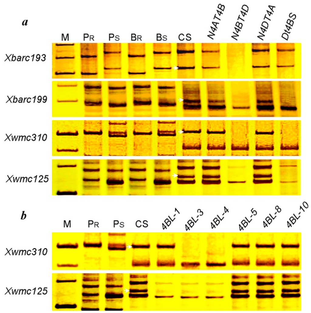 Ijms 16 17231 g005 1024