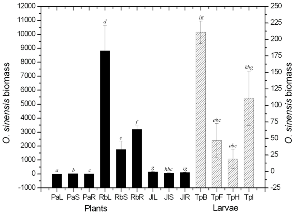 Ijms 16 17482 g001 1024